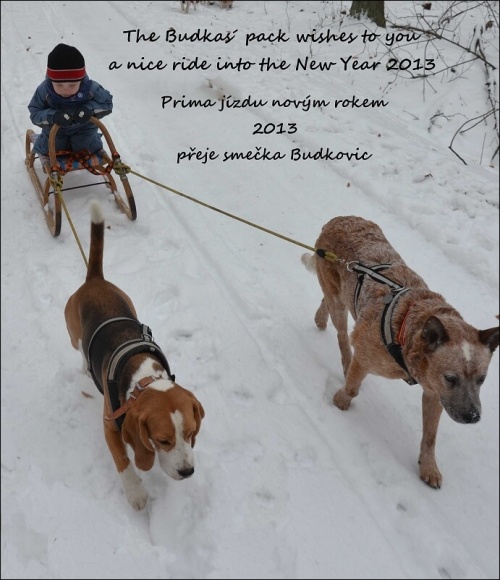 Foto: © Budkovi